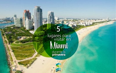 5 lugares para visitar en Miami durante la primavera