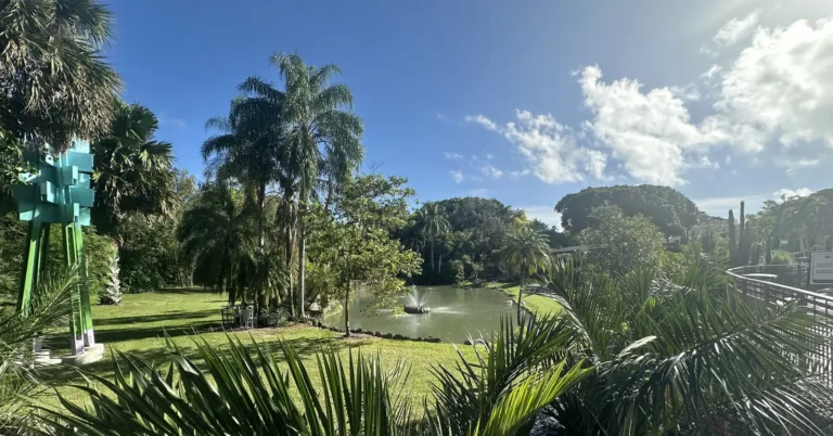 Lago y palmeras de Pinecrest Gardens, en el vecindario de Pinecrest, Miami